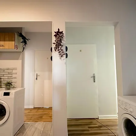Nowy Quill Homestay *